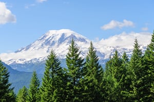 Pierce County