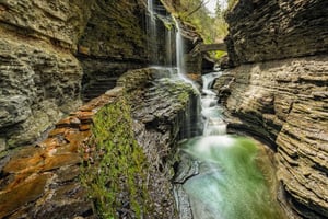 Schuyler County